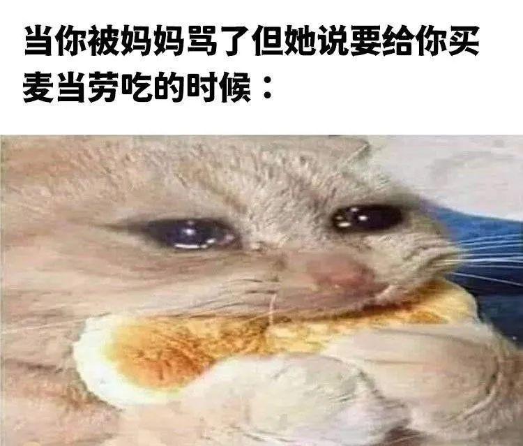 我他妈拍案叫绝表情包图片