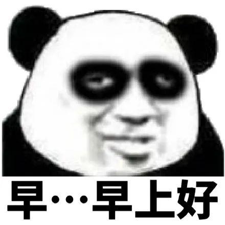 你有什么常用又有趣的表情包二十二早上好我爱你