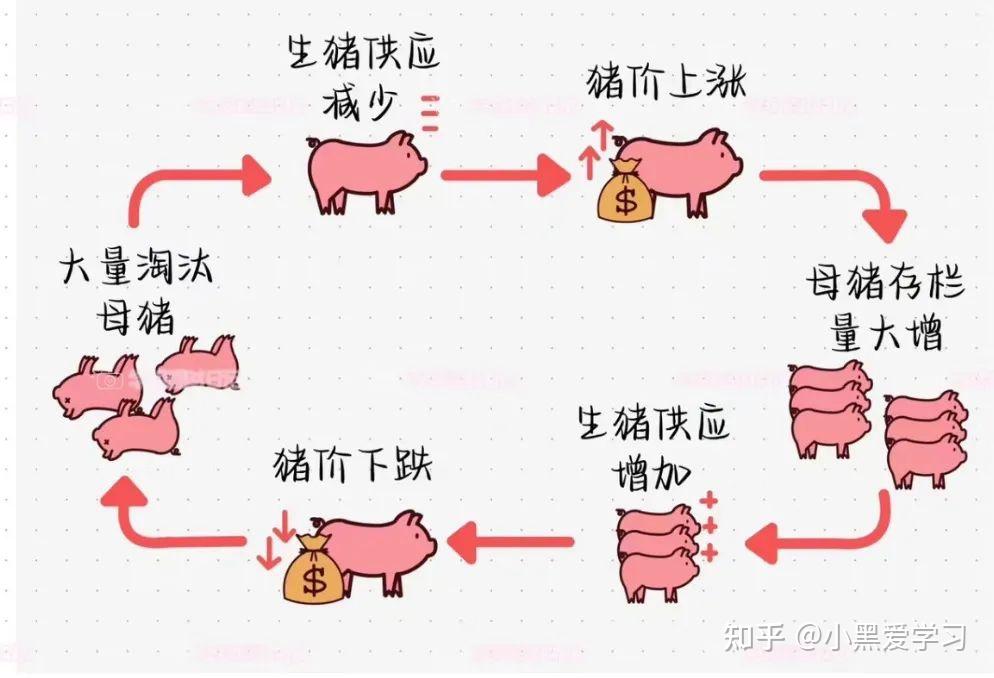 期 货 品 种 之 生 猪 - 知乎