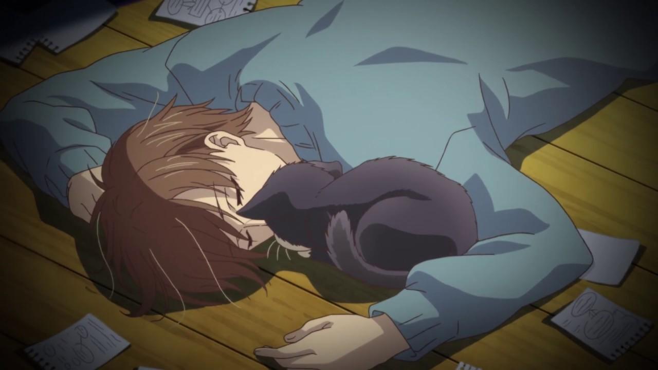 同居人时而在腿上时而在头顶吸猫一小步人生一大步