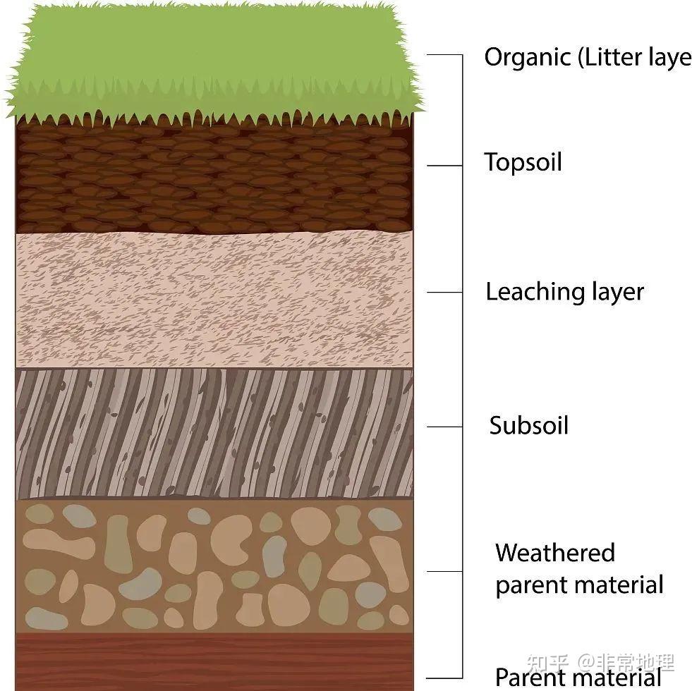 土壤垂直分层图