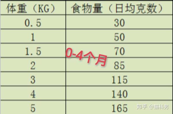 新手必看 不同时期的猫咪 应该喂多少食量 知乎