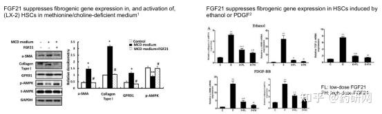 FGF21：NASH领域逆境前行现曙光 - 知乎
