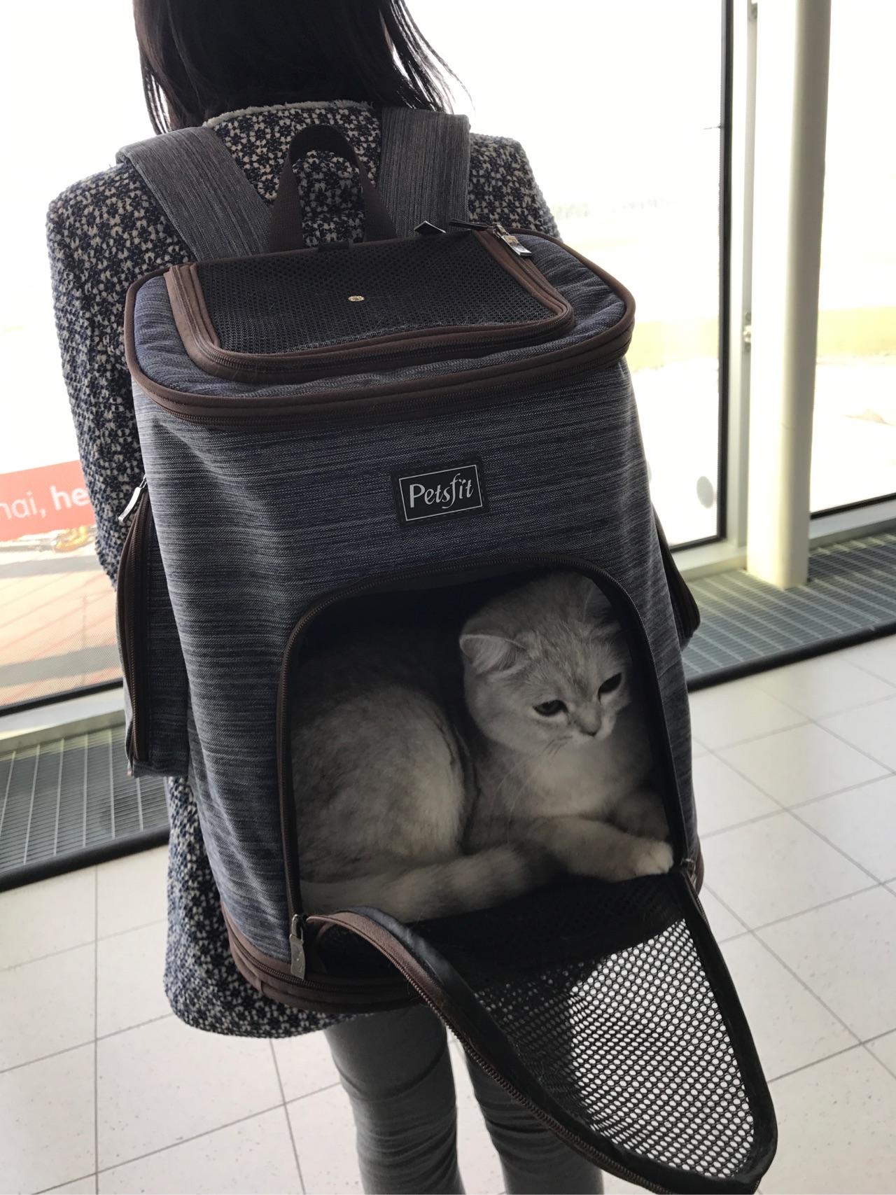 作为航空乘务员,在飞机上遇到过哪些有趣的事