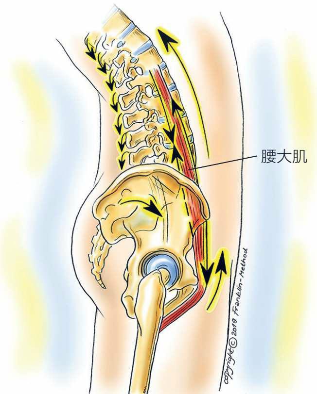 瑜伽姿势骆驼式