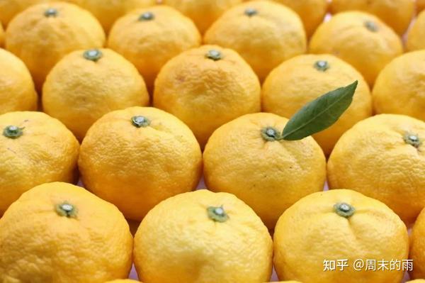 今日芳香分享：日本柚子🍊 - 知乎