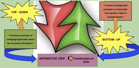听力的奥秘：要分清bottom-up和top-down - 知乎