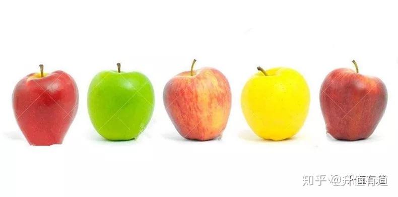 用9个苹果说透经济危机