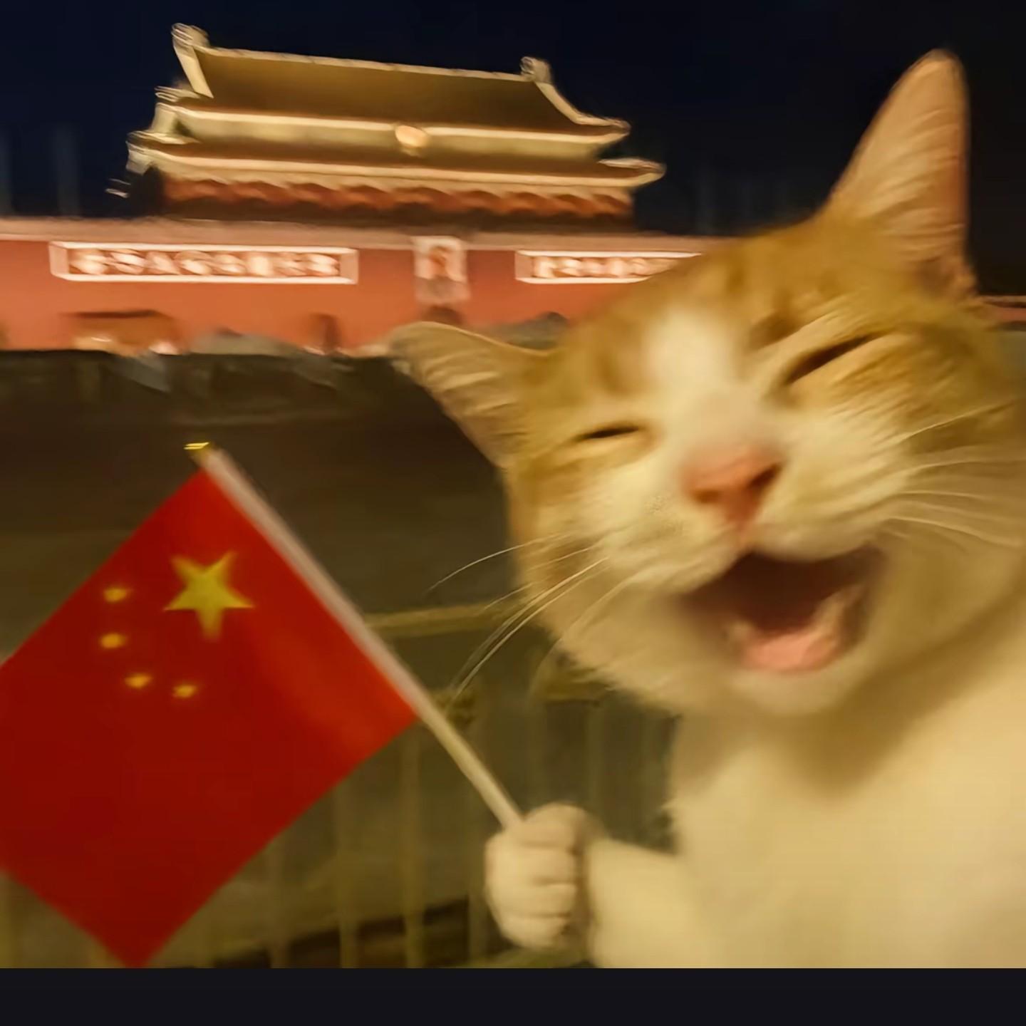 无心