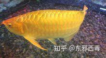 v2-9df2a15522c791922aab39784bc63d21_b.jpg