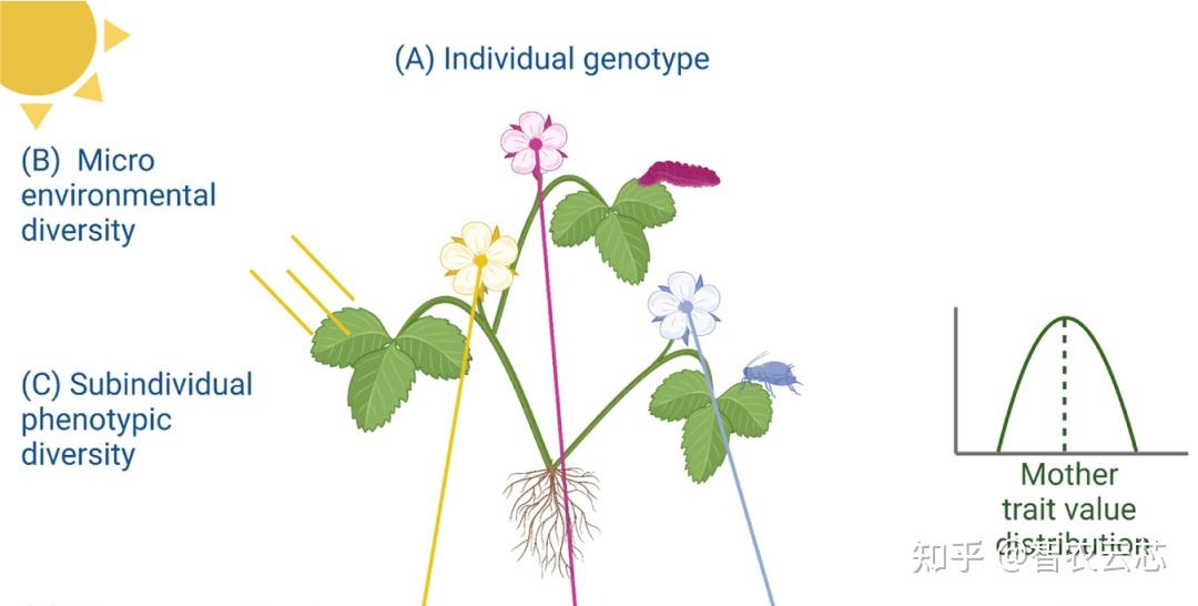 Trends in plant science 
