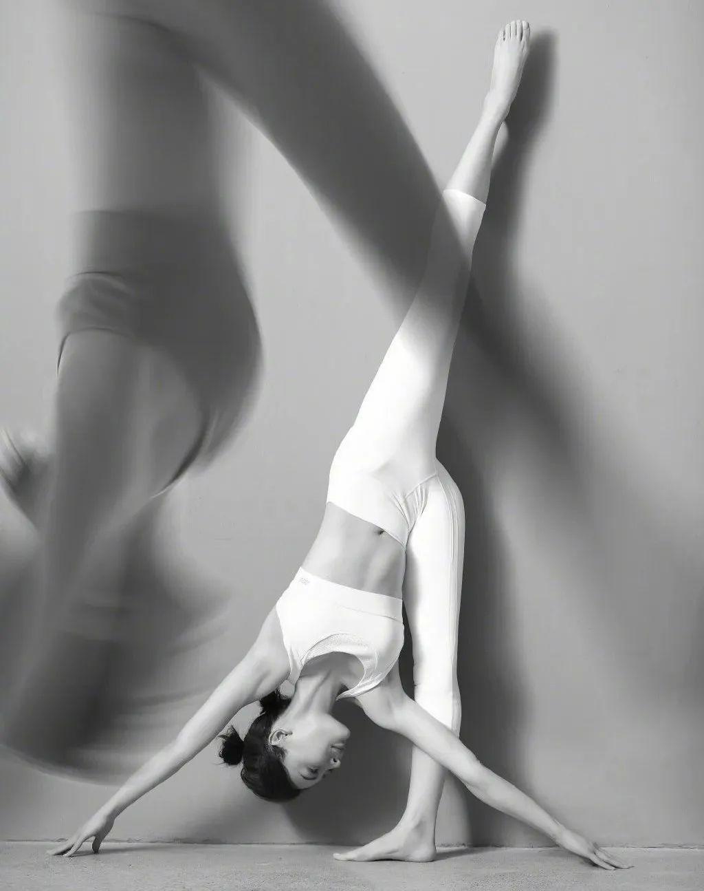 北师大教授抨击陈数生孩子是女人的天职不生就是反人类