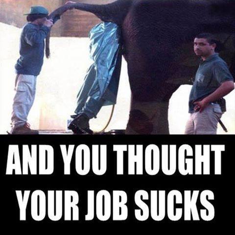 全世界最危险的工作rodeoclown