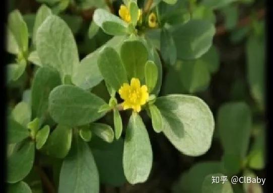 最健康的化妆品_聚美优品化妆品有假货么_健康化妆美容论文