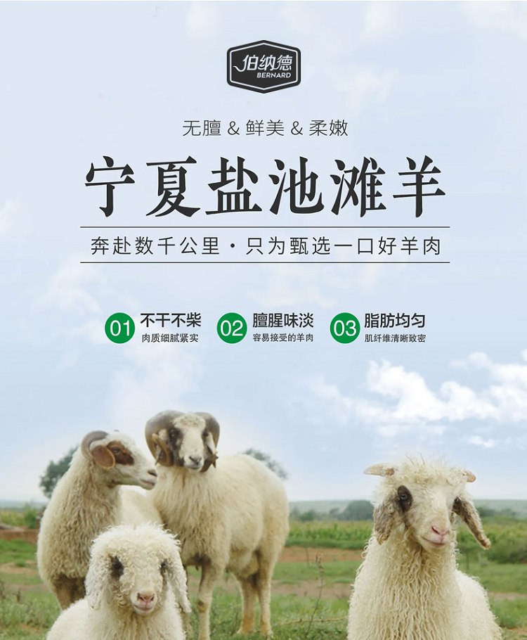 宁夏盐池:滩羊之乡的深度味觉图谱 - 知乎