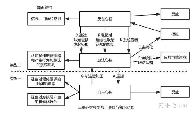 大脑是如何解决问题的
