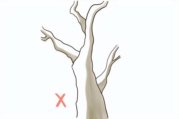 如何画树干和树枝?教你单独的树干画法教学! - 知乎