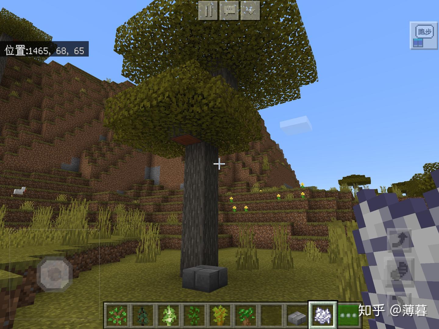 Minecraft生存指南专题:种植 - 知乎