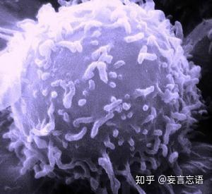 “疽”是什么意思? - 知乎