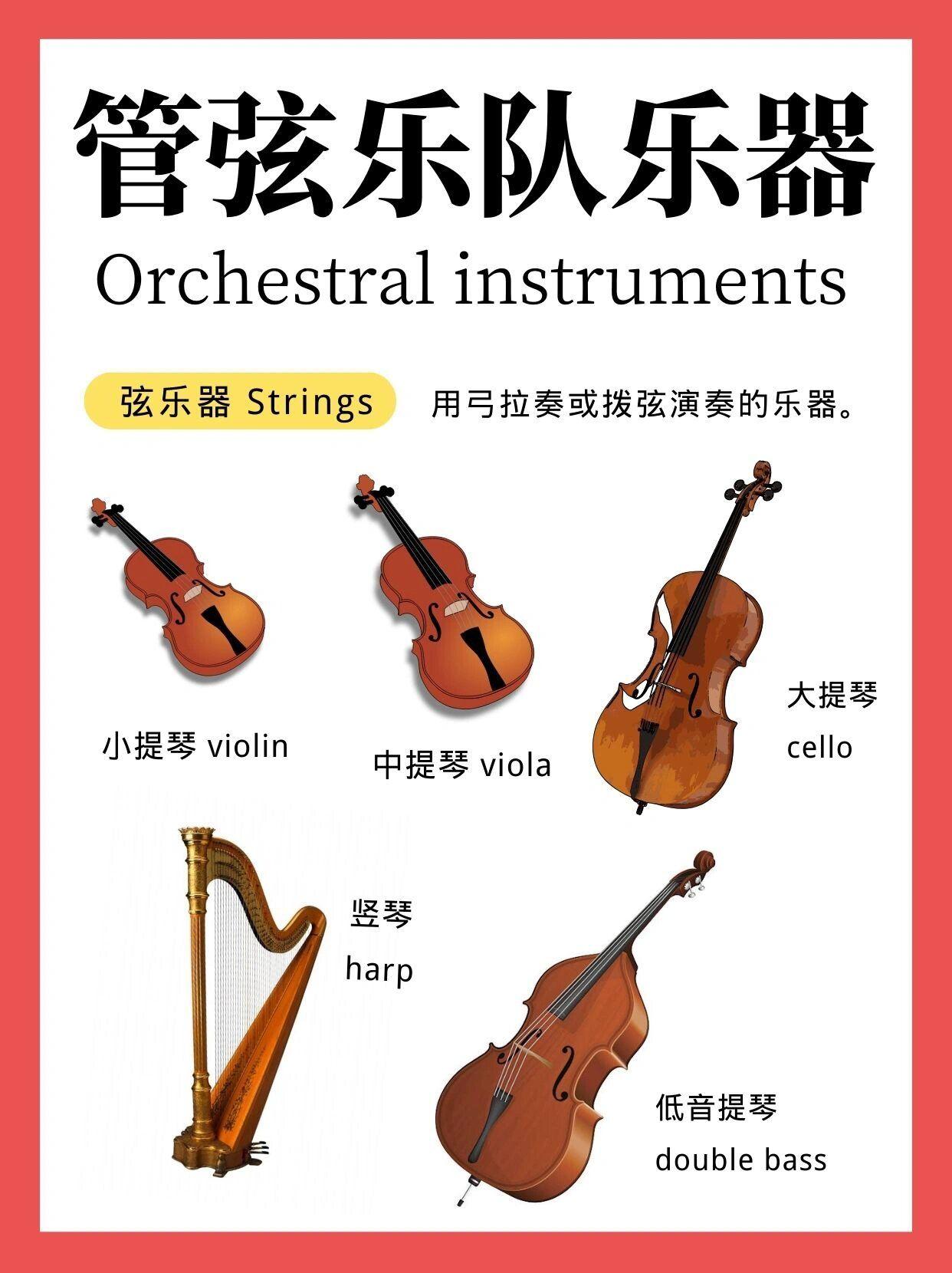 认识管弦乐器的中文和英文名称，全网最全，赶紧收藏起来吧～ - 知乎