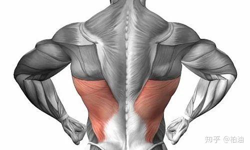 如何拉伸背阔肌改善肩关节灵活性