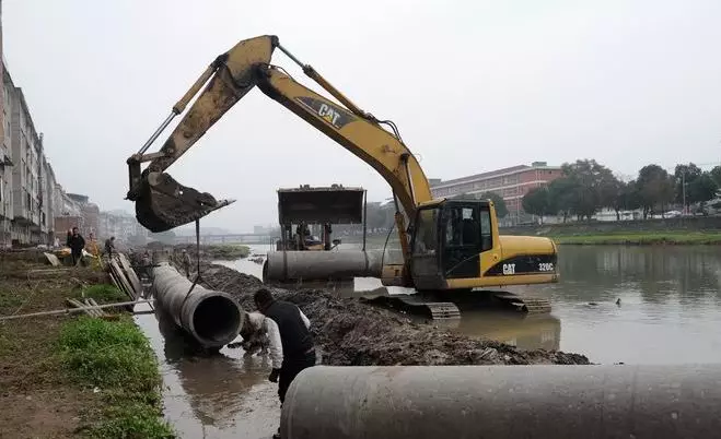 打鸟赔巢：生态修复有新招[打鸟立案标准]
