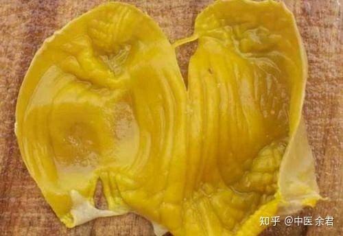 鸡内有一“宝”,健脾胃消食有良效 - 知乎