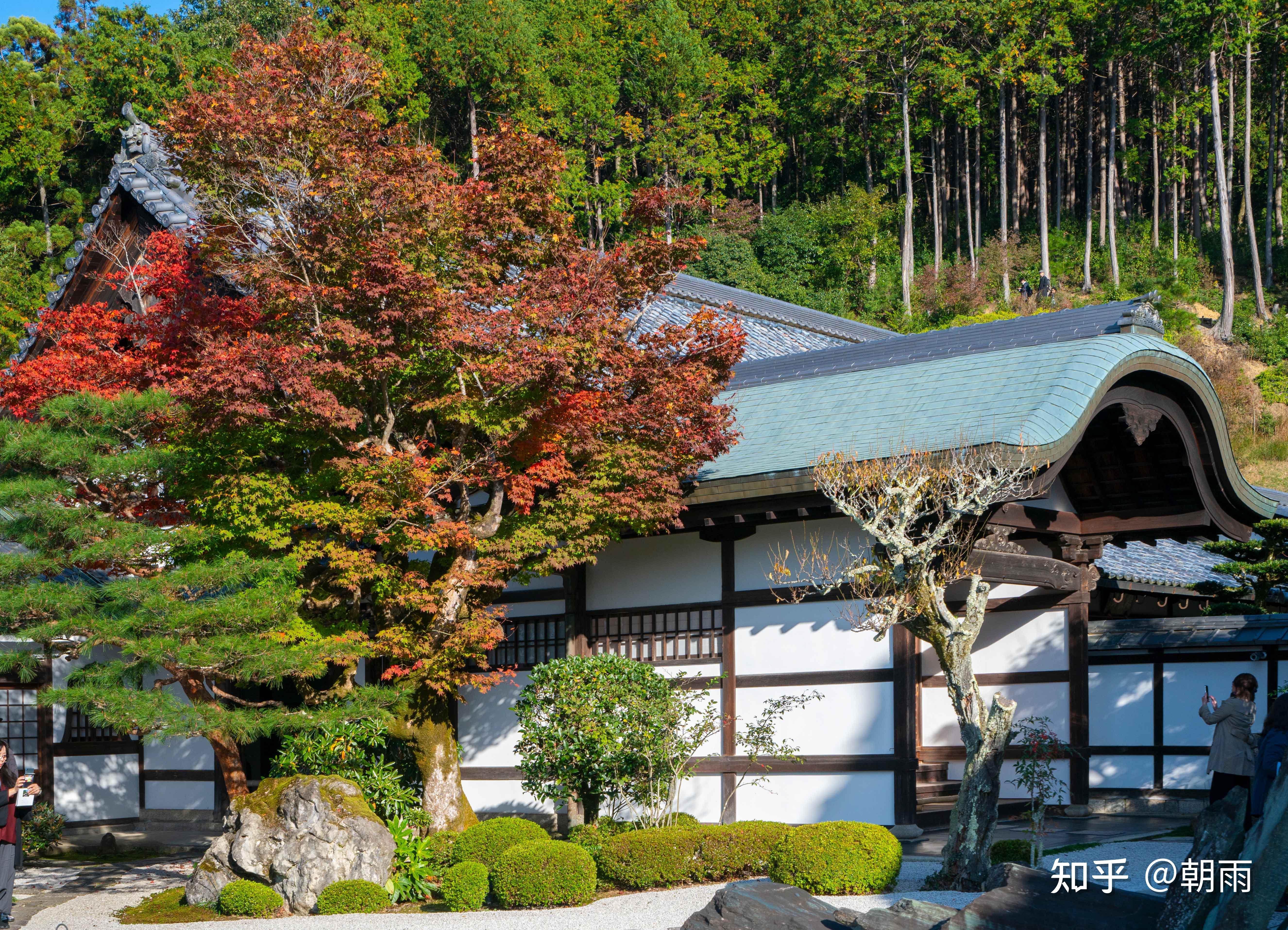 11 京都·圆光寺(下)