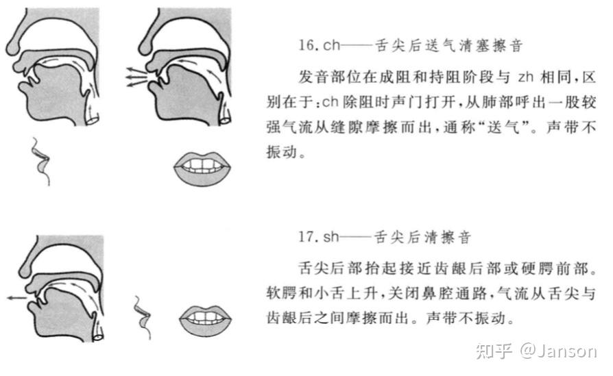 普通话舌尖后阻(zh ch sh)发音及纠正 - 知乎