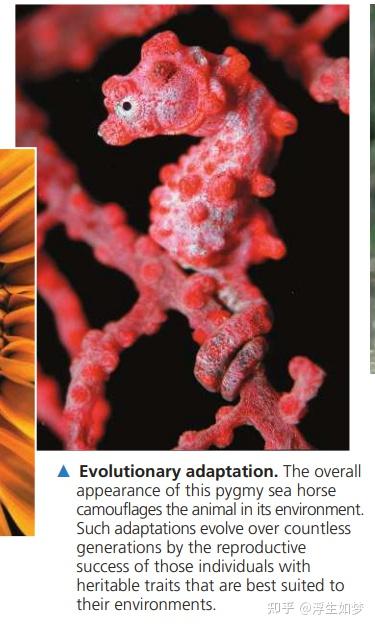 Chapter 1、Evolution, the Themes of Biology, and Scientific Inquiry (翻译 ...