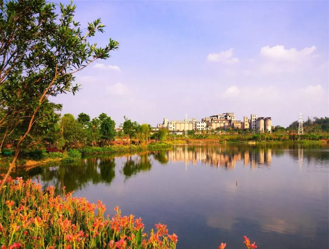 咋这么好看，活久见，植物与水景搭配才最美 - 深圳市绿雅坊景观园艺有限公司