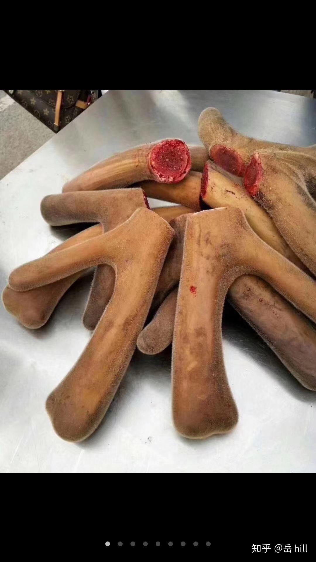 鹿茸中国传统中药材