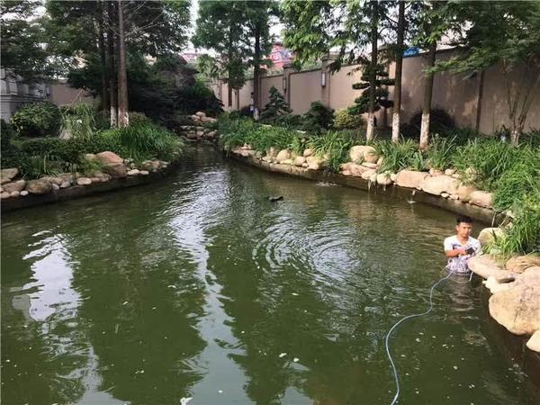 白兰特短鲷_短鲷的水质_水质检测仪 区别水质色度仪