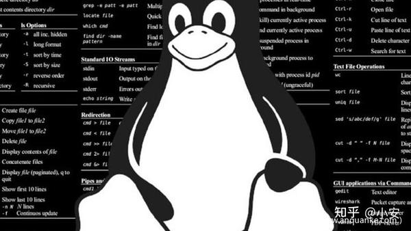 msg linux