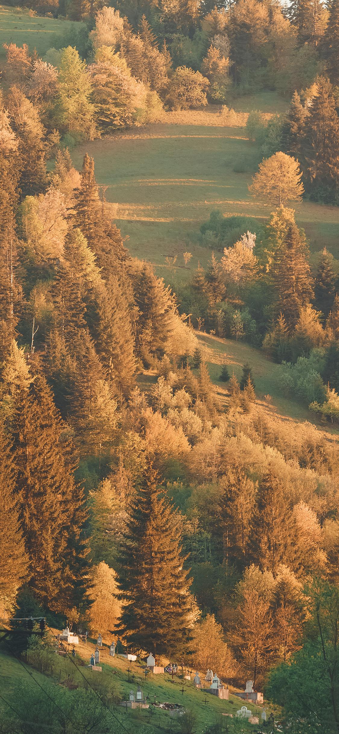 有哪些适合iphone12用的高清壁纸