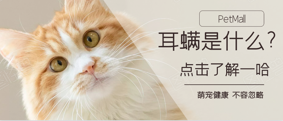 v2-9eb64d3677968311cbe355ccd1ba4f3b_1440w.jpg?source=172ae18b