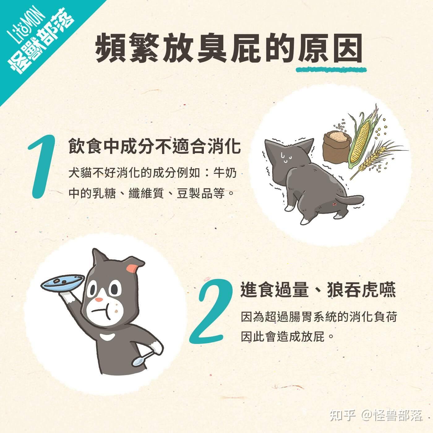 猫狗老爱放臭屁怎么办