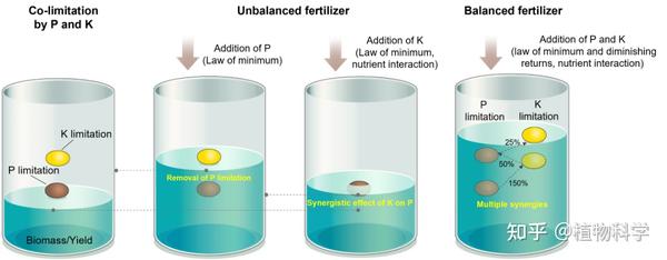 Plant Journal | 华中农业大学作物养分管理团队在油菜磷钾营养互作上取得科研进展 - 知乎