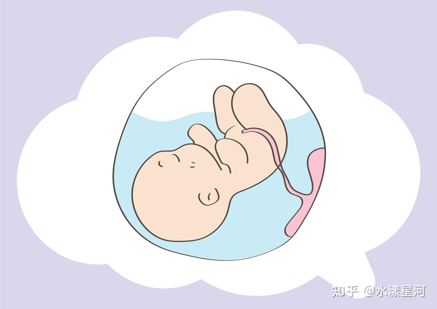 孕妈在第几周起开始有胎动感觉？ - 知乎