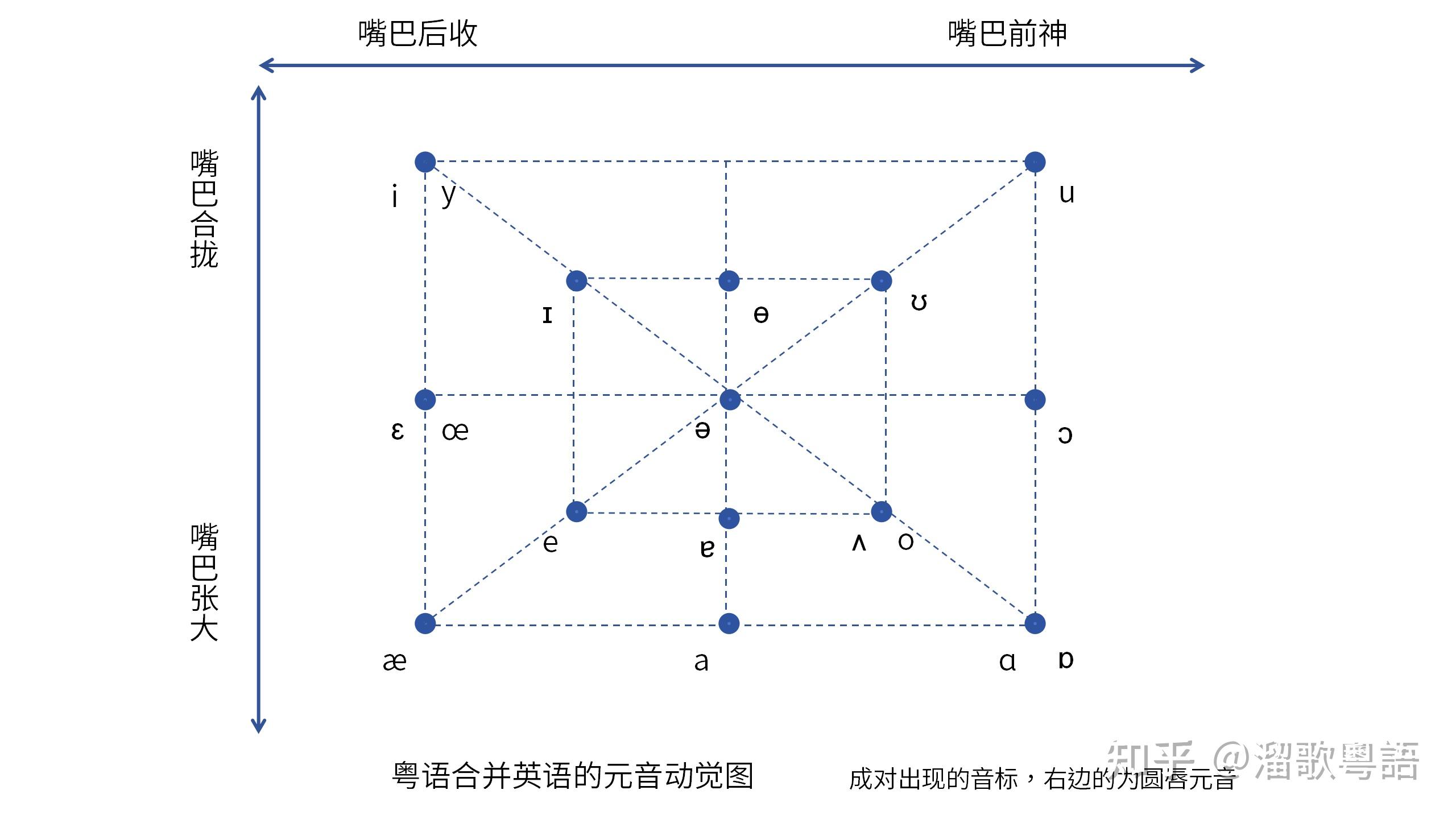 粤语的元音动觉图 - 知乎