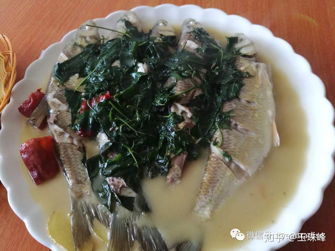 东北乌苏里江行日记六兴东道台府的鸭罗香