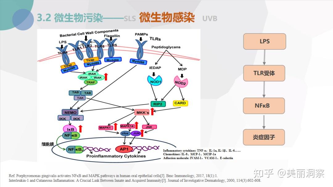 博溪生物日化最前線新規下舒緩功效產品宣稱的證據及思路