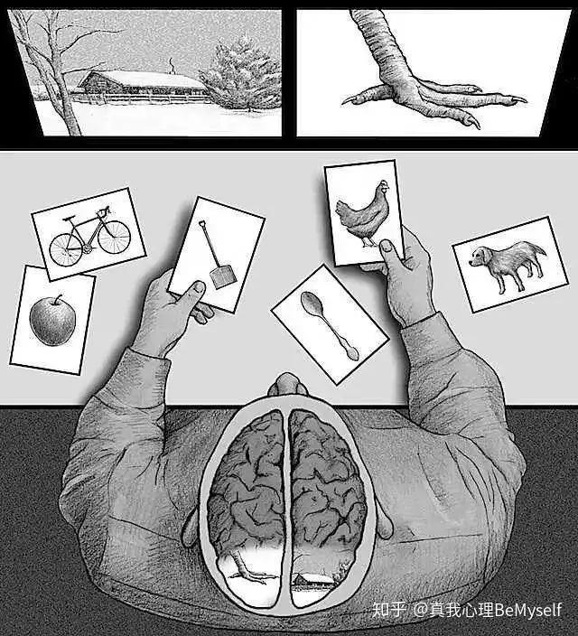 进化心理学你眼中的世界不过是大脑制造的幻觉世界是真实的吗马斯克