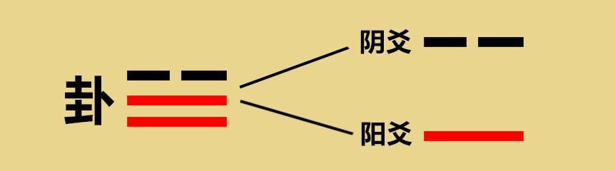 卦當中的每一個符號都叫一個爻,整部《易經》就是兩種不同的符號.