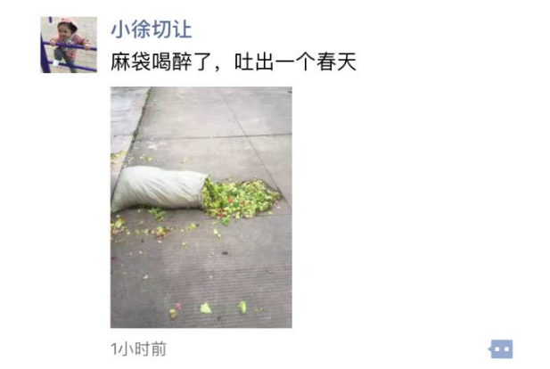 雨天沙雕朋友圈文案,雨天沙雕朋友圈文案图片