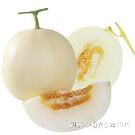 白瓜的功效与作用 - 知乎