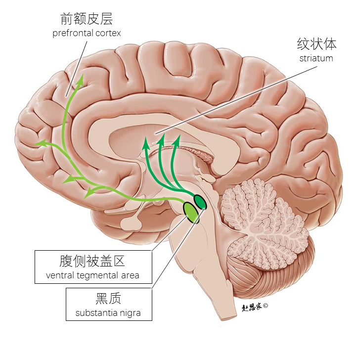 心理學(xué)學(xué)什么_學(xué)心理學(xué)以后可以干什么_學(xué)心理學(xué)有前途嗎好就業(yè)嗎