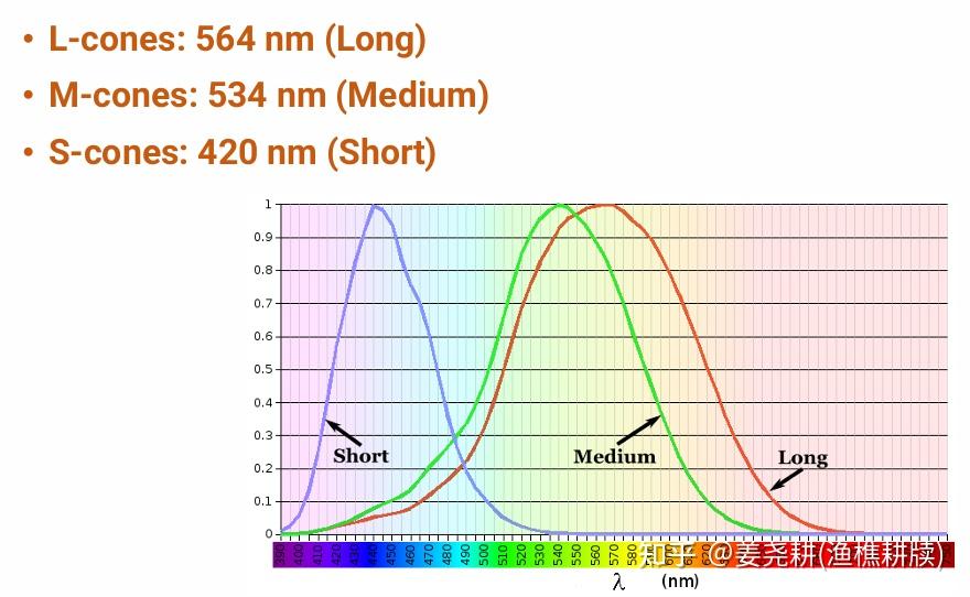 Dng Color 这才是真正的色彩科学(上):从零到正确渲染DNG - 知乎