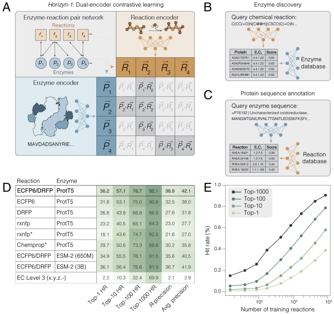 PNAS 双编码器对比学习加速酶发现 Dual-encoder contrastive learning accelerates enzyme ...