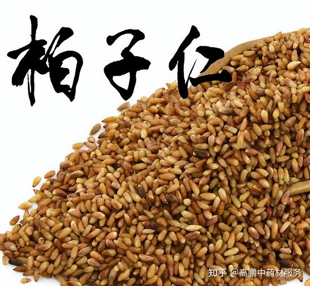 高鹏说药材:市场关注品种柏子仁近期行情走势简析 - 知乎